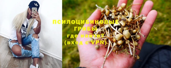 дурь Алзамай