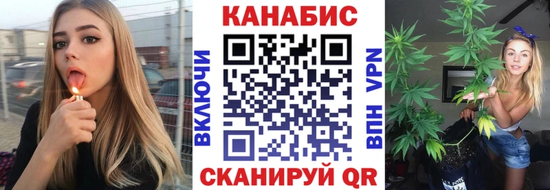 KRAKEN сайт  Жирновск  Марихуана сатива 